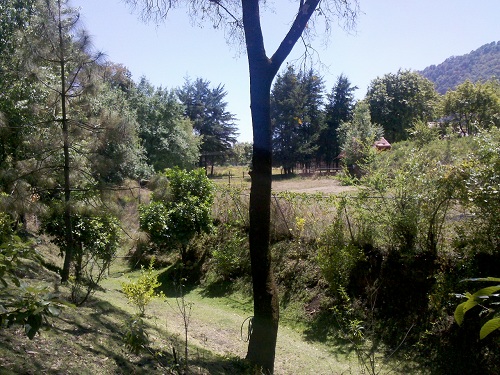 Terreno en Venta
