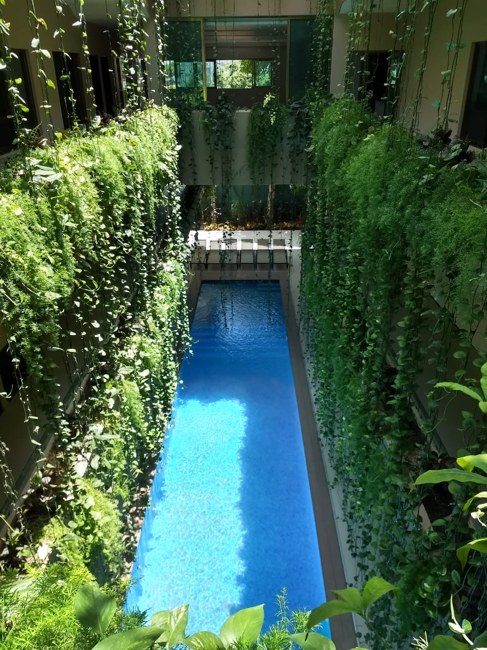 Hermoso Residencial Turístico en el Centro de Playa del Carmen - (34)