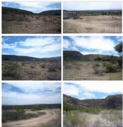 LAND FOR SALE SAN LORENZO