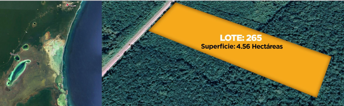 Lote de 4 hectareas en Venta Frente a Carretera en Tulum - (34)