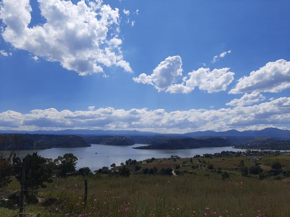 TERRENO EN VENTA EN SANTA ROSA MILPILLAS - (34)
