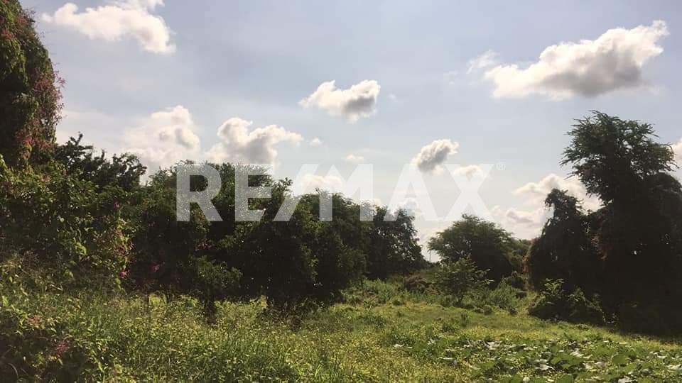 Land for Sale Pánuco