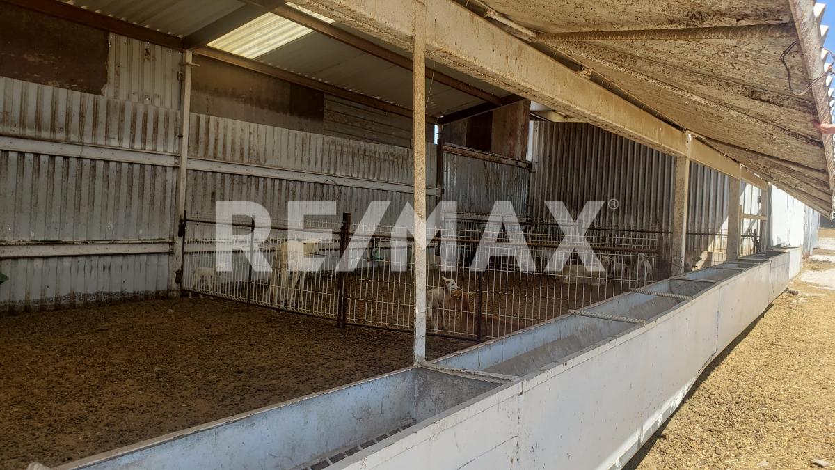 Rancho en Venta en Jalisco en Los Yugos, Cañadas de Obregón - foto 44 de 47