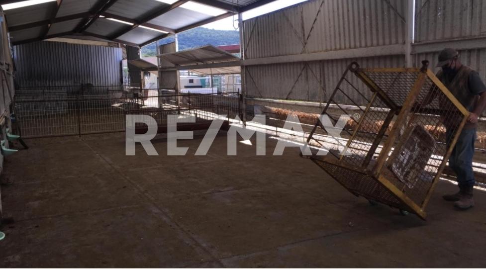 Rancho en Venta en Jalisco en Los Yugos, Cañadas de Obregón - foto 42 de 47