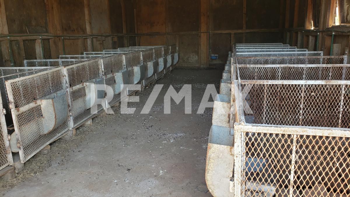 Rancho en Venta en Jalisco en Los Yugos, Cañadas de Obregón - foto 43 de 47