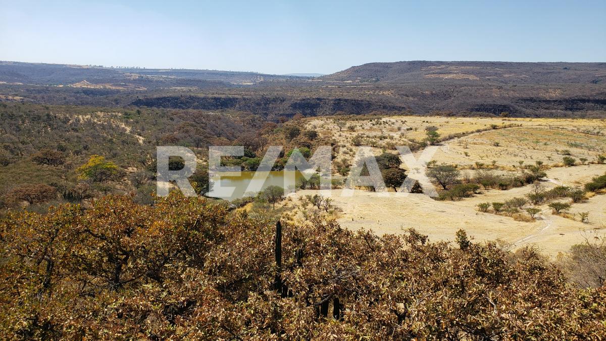 Rancho en Venta en Jalisco en Los Yugos, Cañadas de Obregón - foto 35 de 47