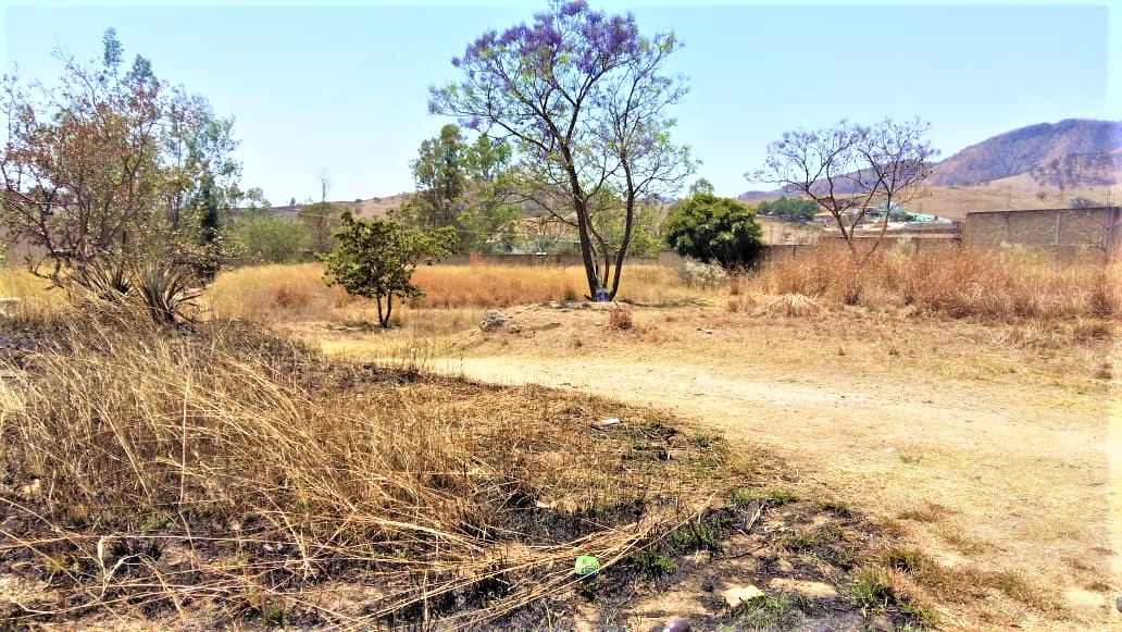 Finca en Venta en Parques de Tesistán, Zapopan - foto 7 de 23