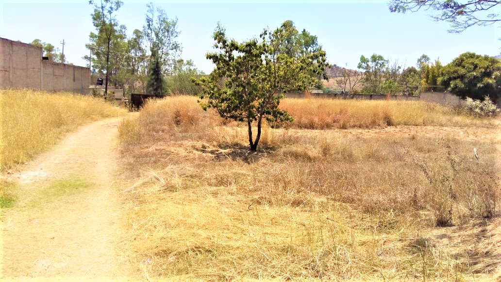 Finca en Venta en Parques de Tesistán, Zapopan - foto 5 de 23