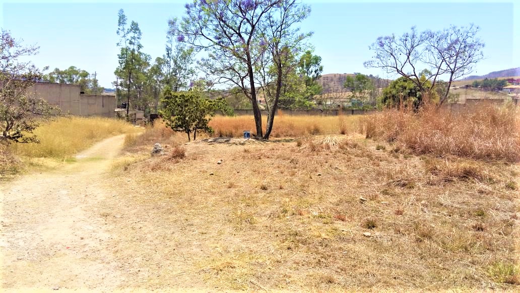 Finca en Venta en Parques de Tesistán, Zapopan - foto 6 de 23
