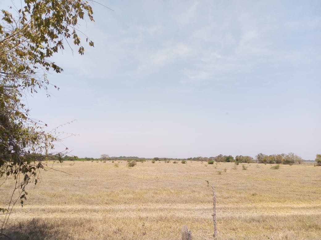 Ranch for Sale Panuco