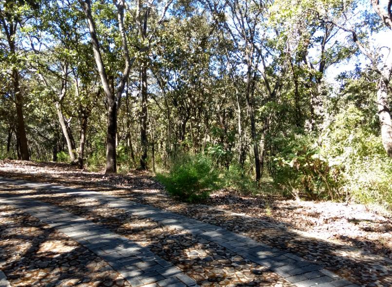 TERRENO EN VENTA en Teuchitlán, Teuchitlán - foto 7 de 7