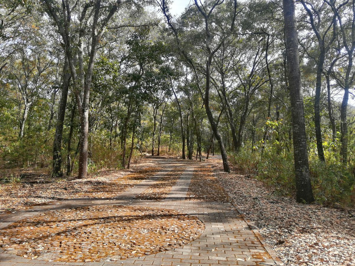 TERRENO EN VENTA en Teuchitlán, Teuchitlán - foto 6 de 7
