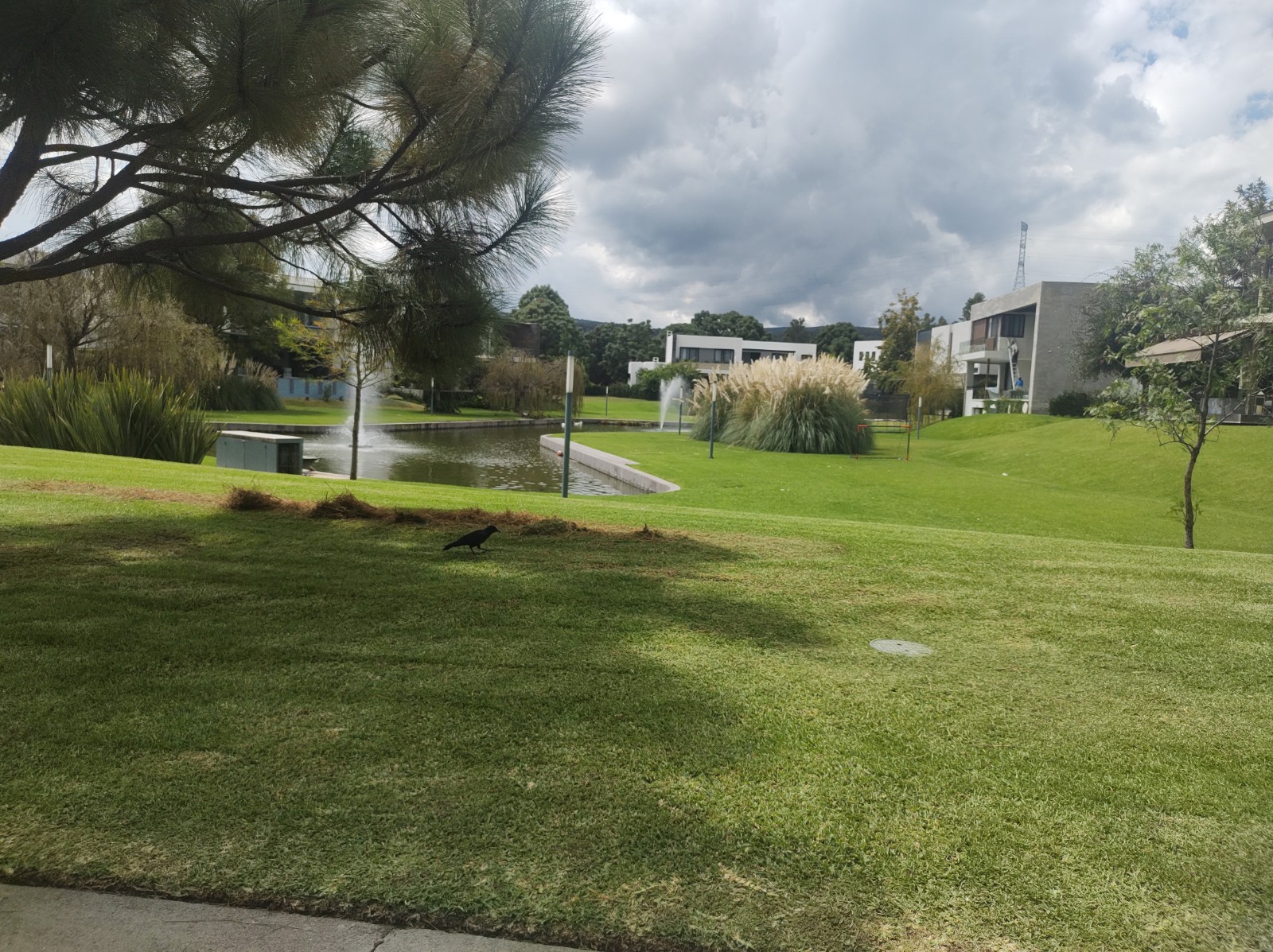 Terreno con vista al Lago Campo Lago
