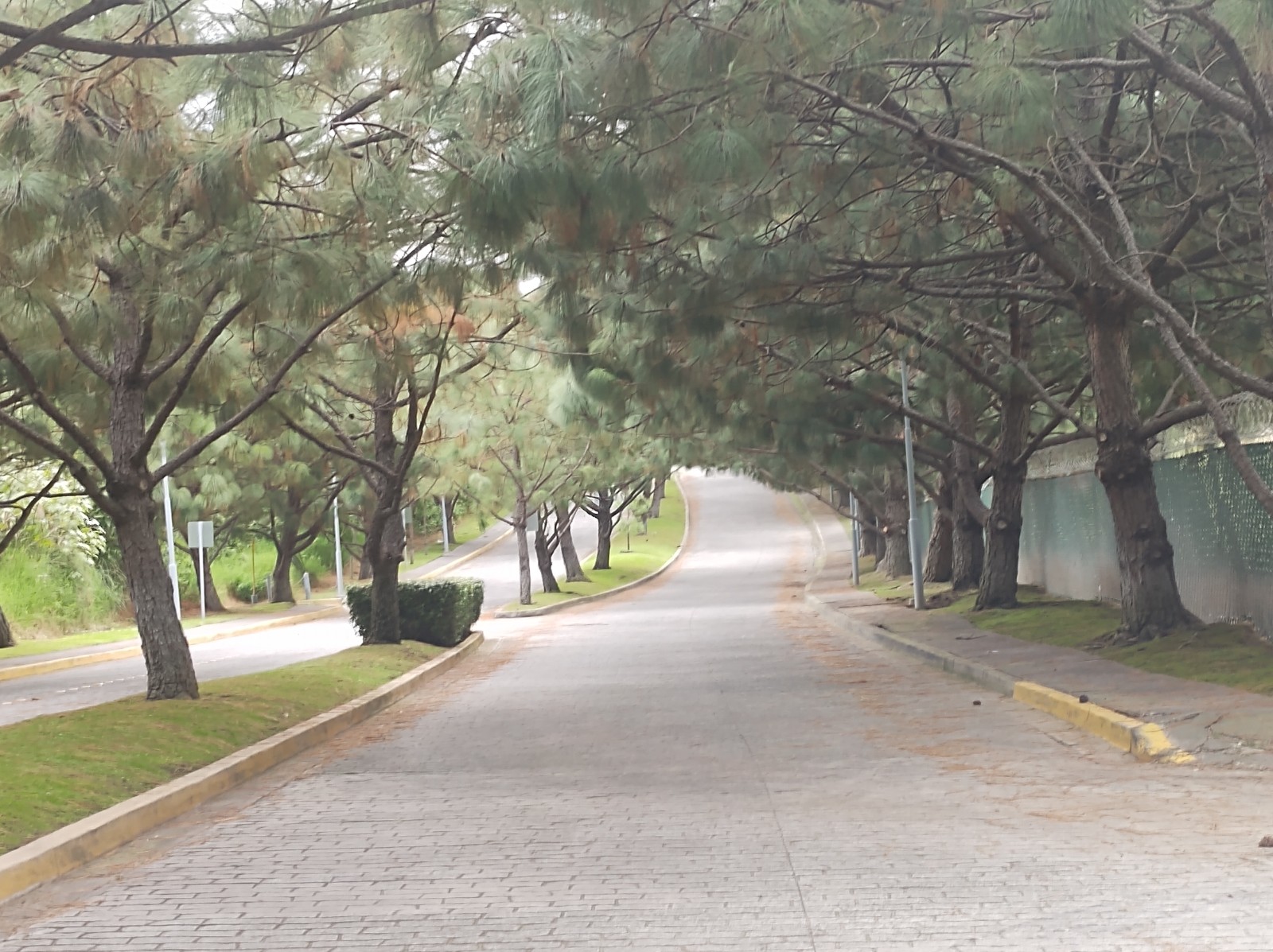 Terreno con vista al Lago Campo Lago en Campo Lago, Zapopan - foto 3 de 14