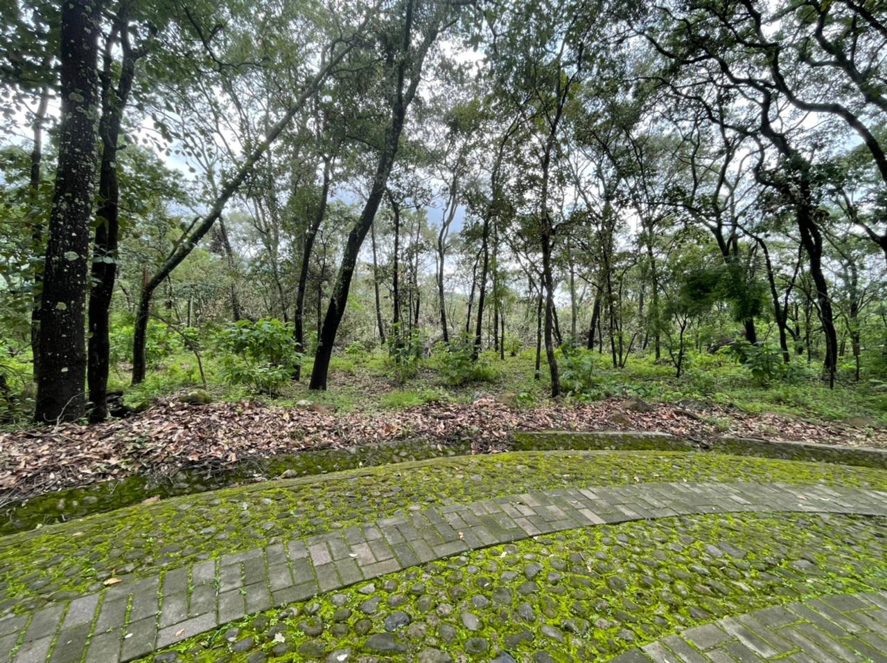 Terreno en venta en Reserva de los Encinos en Teuchitlán, Teuchitlán - foto 3 de 22