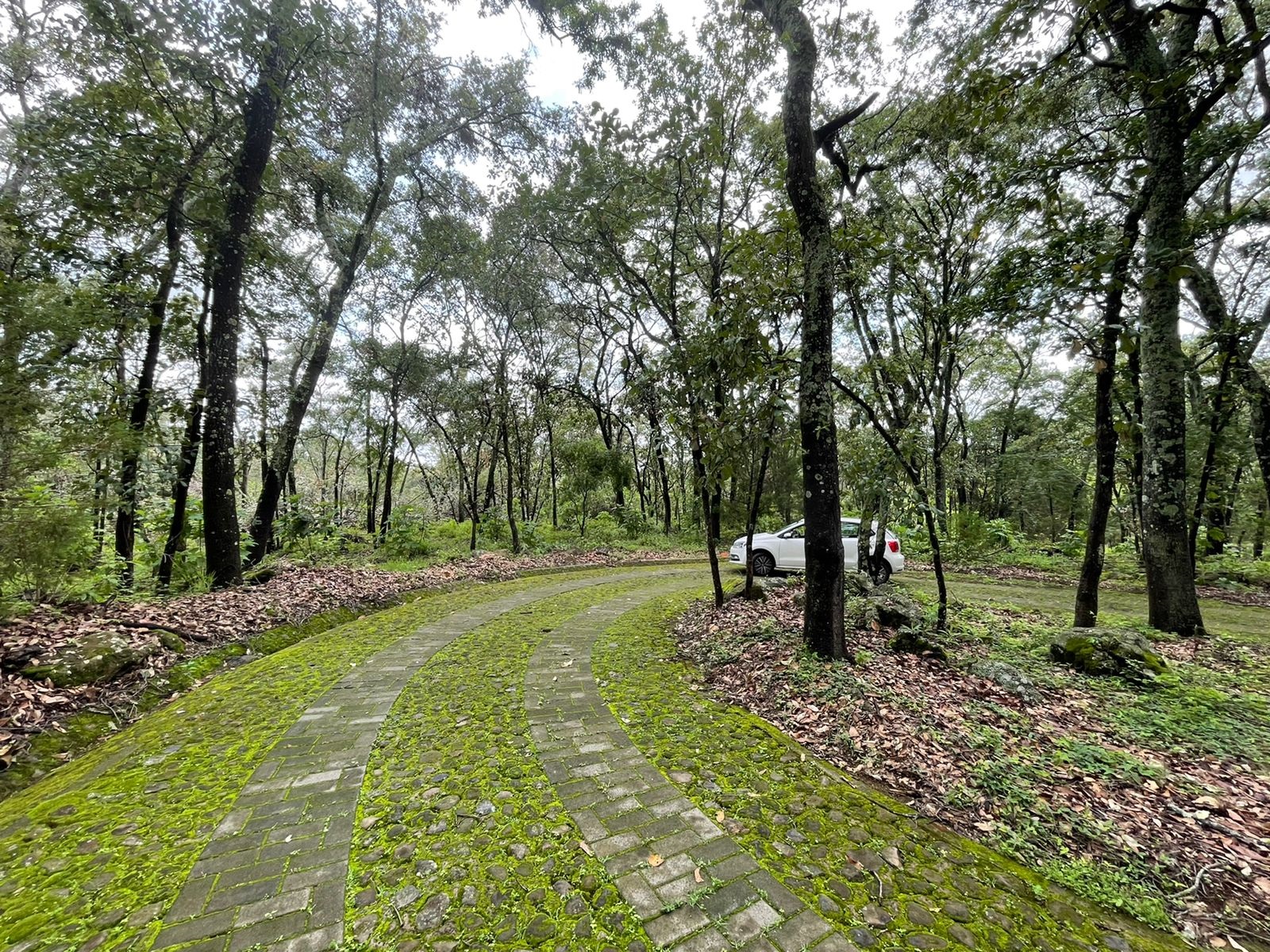Terreno en venta en Reserva de los Encinos en Teuchitlán, Teuchitlán - foto 2 de 22