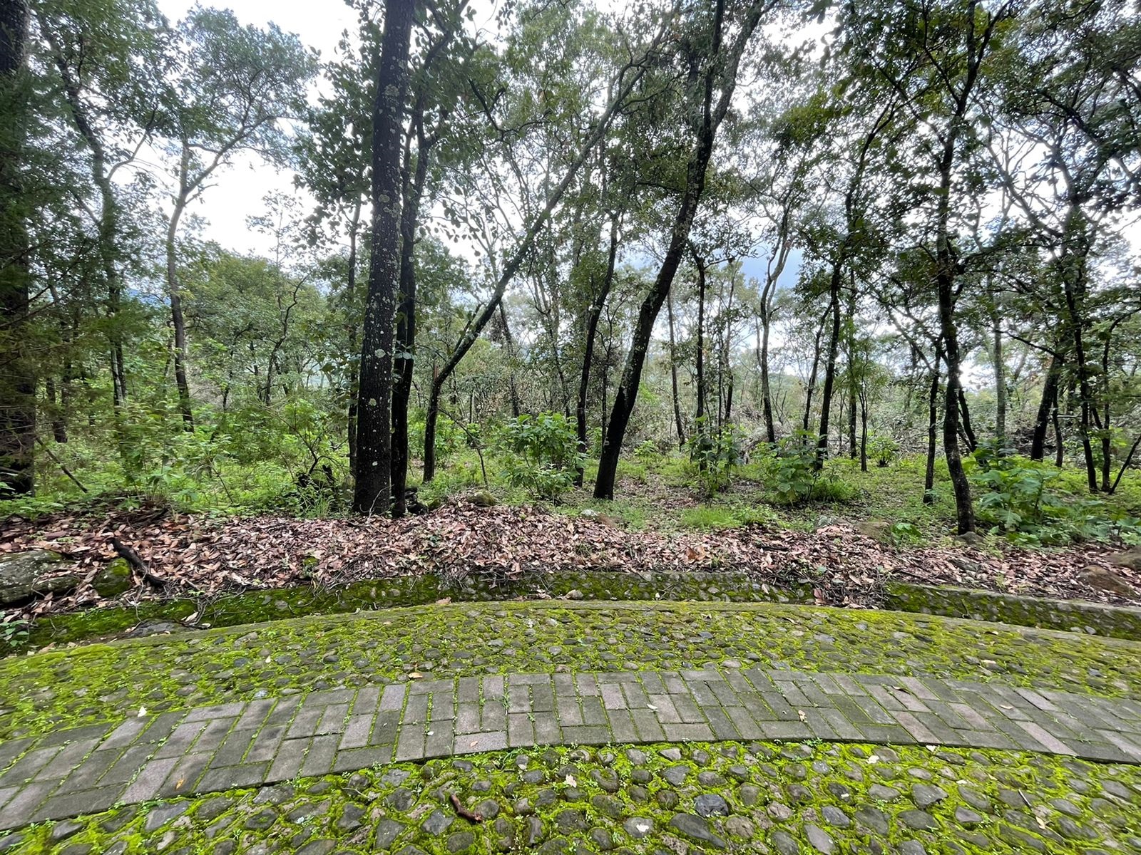 Terreno en venta en Reserva de los Encinos en Teuchitlán, Teuchitlán - foto 5 de 22