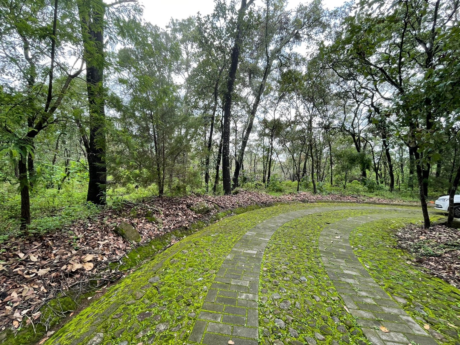 Terreno en venta en Reserva de los Encinos en Teuchitlán, Teuchitlán - foto 4 de 22