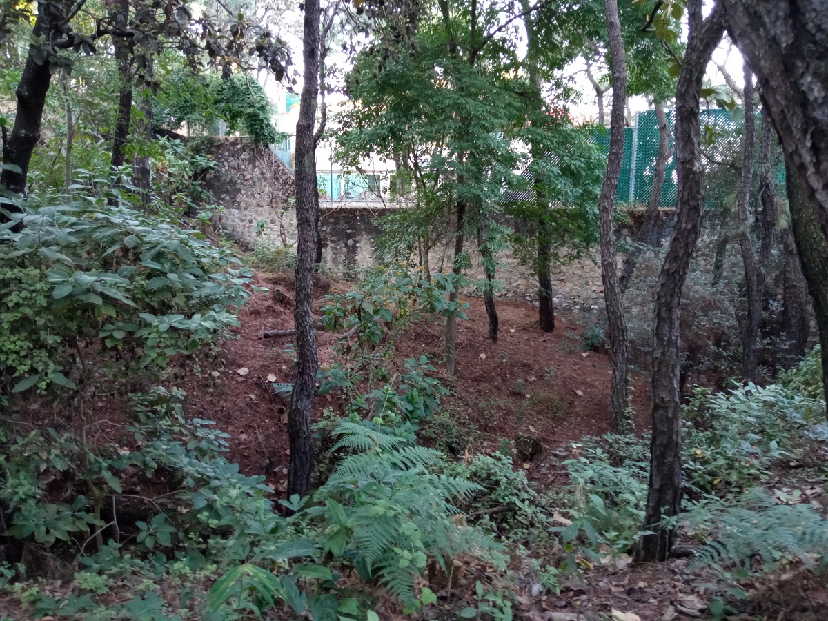 TERRENO EN VENTA PINAR DE LA VENTA  en Fraccionamiento Pinar de La Venta, Zapopan - foto 8 de 9