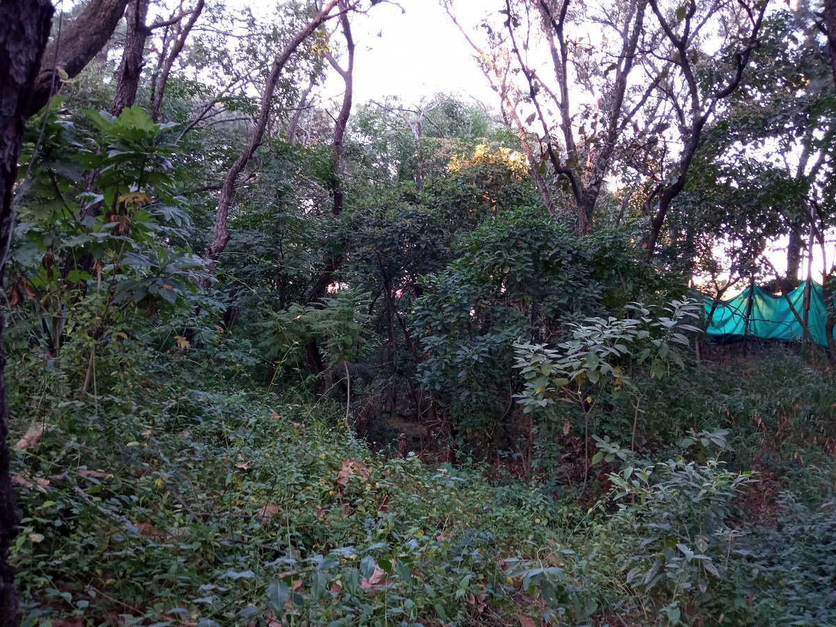 TERRENO EN VENTA PINAR DE LA VENTA  en Fraccionamiento Pinar de La Venta, Zapopan - foto 5 de 9