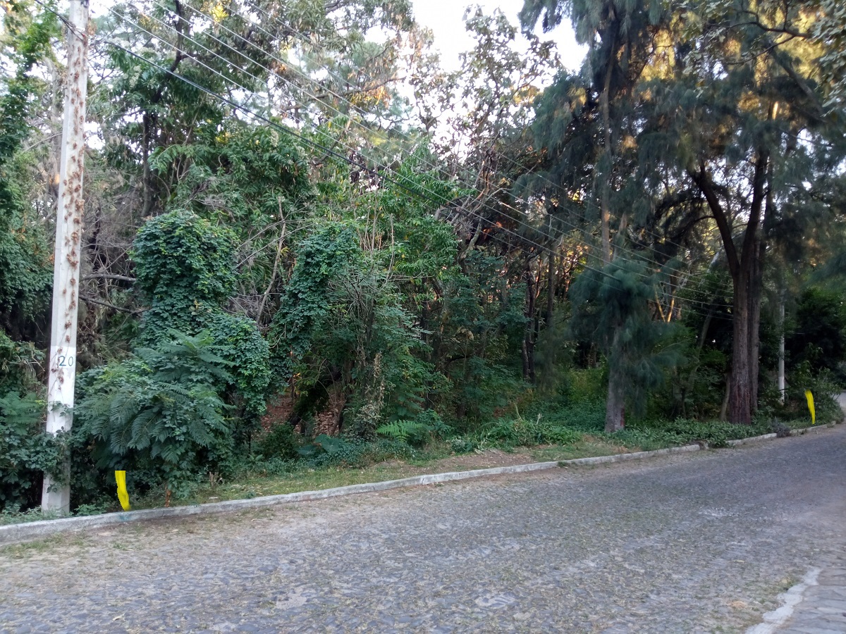 TERRENO EN VENTA PINAR DE LA VENTA 