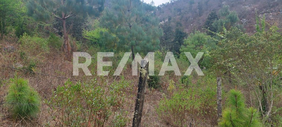 Atención Inversionistas Terreno rustico ideal para cabañas , Chiapas