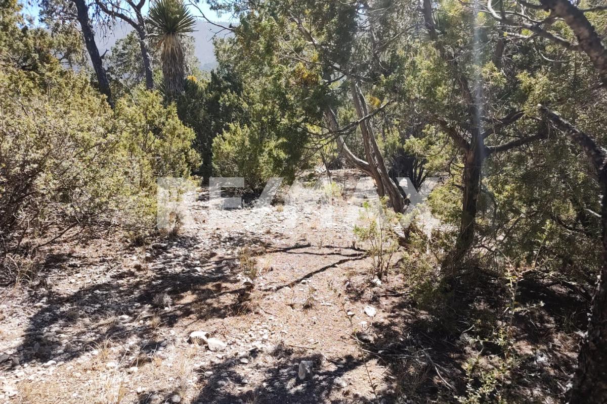 Venta Terreno / Lote San Antonio de las Alazanas - Arteaga