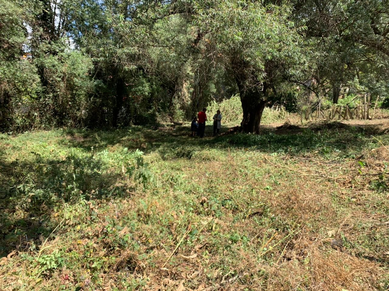 Venta de Terreno a unas cuadras del Centro de Mazamitla en MAZAMITLA, Mazamitla - foto 5 de 10
