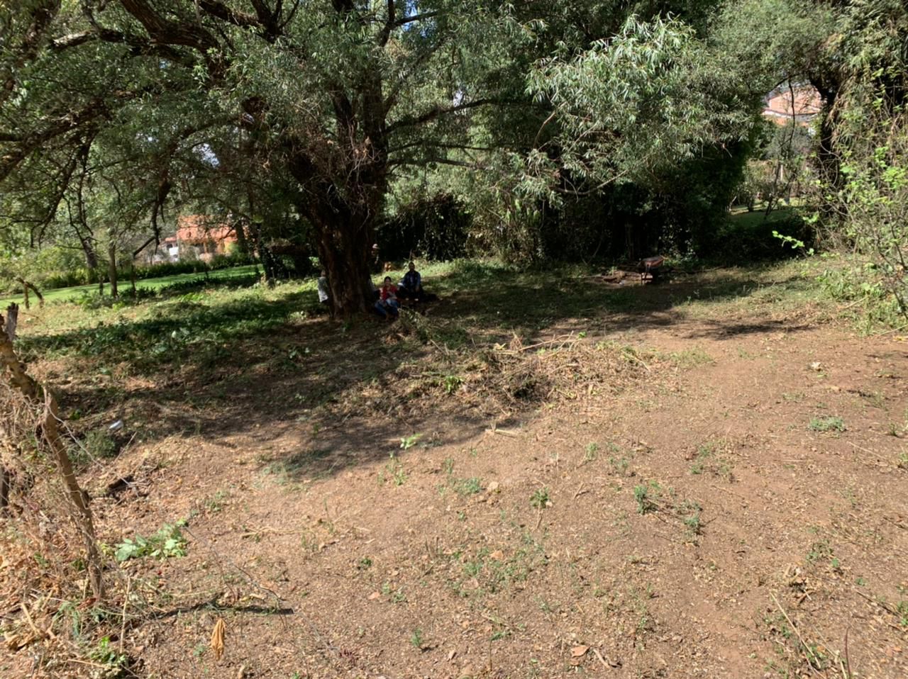 Venta de Terreno a unas cuadras del Centro de Mazamitla en MAZAMITLA, Mazamitla - foto 6 de 10