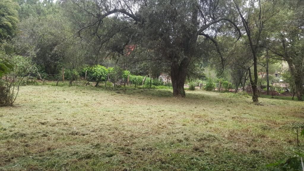 Venta de Terreno a unas cuadras del Centro de Mazamitla en MAZAMITLA, Mazamitla - foto 8 de 10
