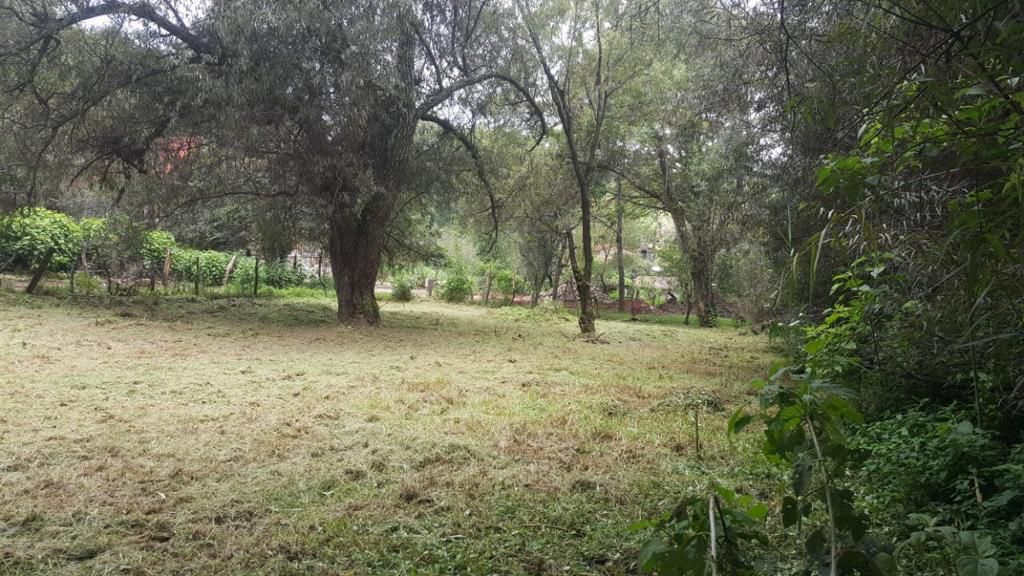 Venta de Terreno a unas cuadras del Centro de Mazamitla en MAZAMITLA, Mazamitla - foto 3 de 10