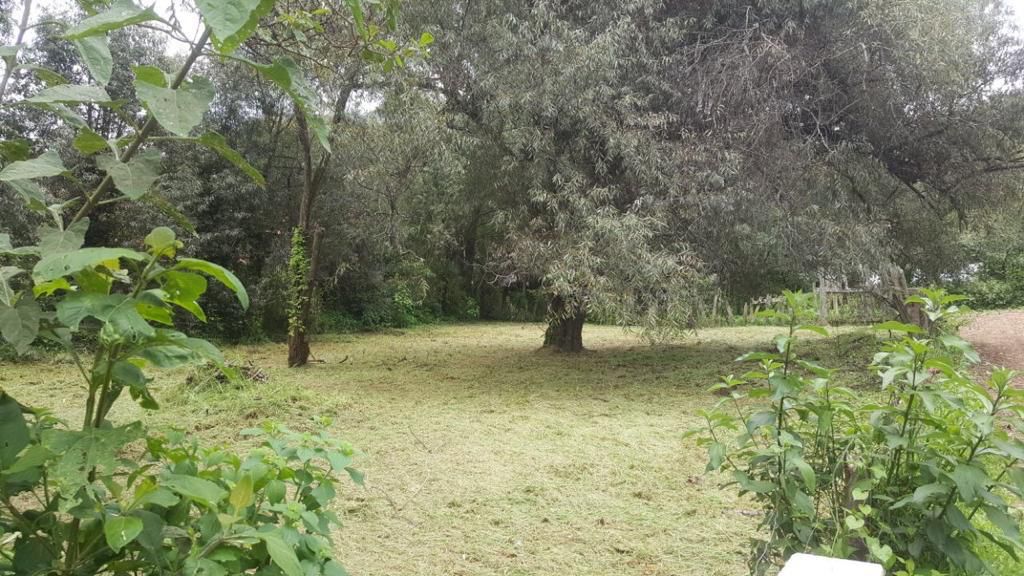 Venta de Terreno a unas cuadras del Centro de Mazamitla en MAZAMITLA, Mazamitla - foto 4 de 10