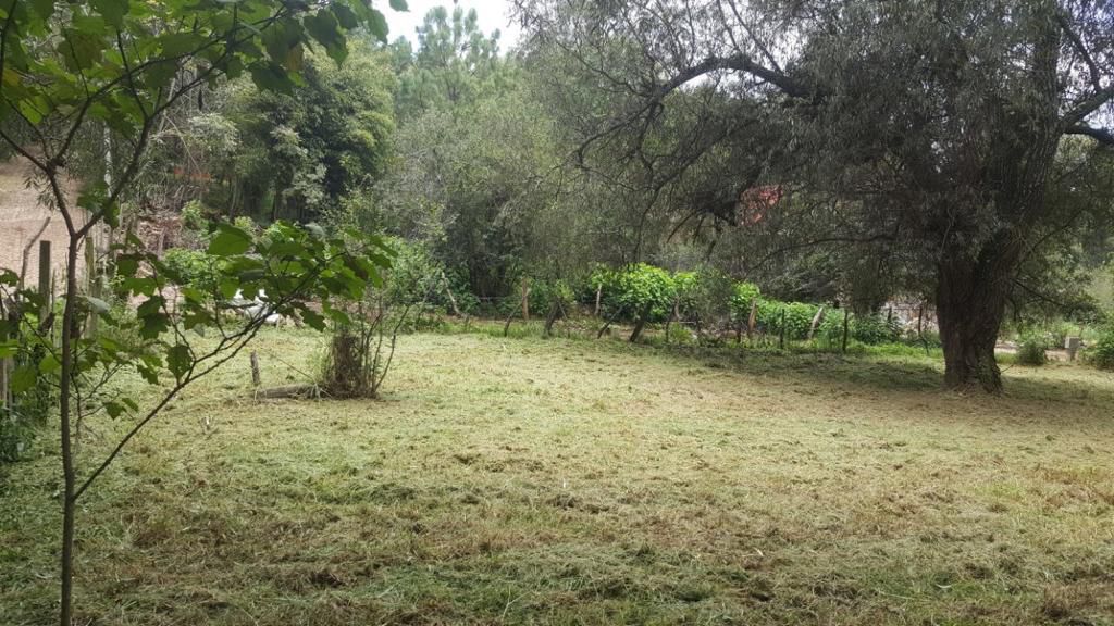 Venta de Terreno a unas cuadras del Centro de Mazamitla en MAZAMITLA, Mazamitla - foto 2 de 10