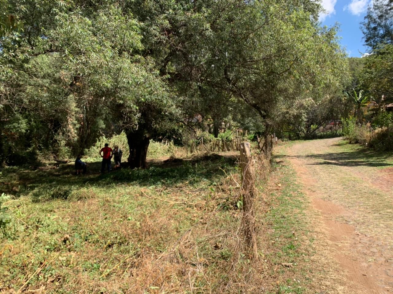 Venta de Terreno a unas cuadras del Centro de Mazamitla en MAZAMITLA, Mazamitla - foto 7 de 10