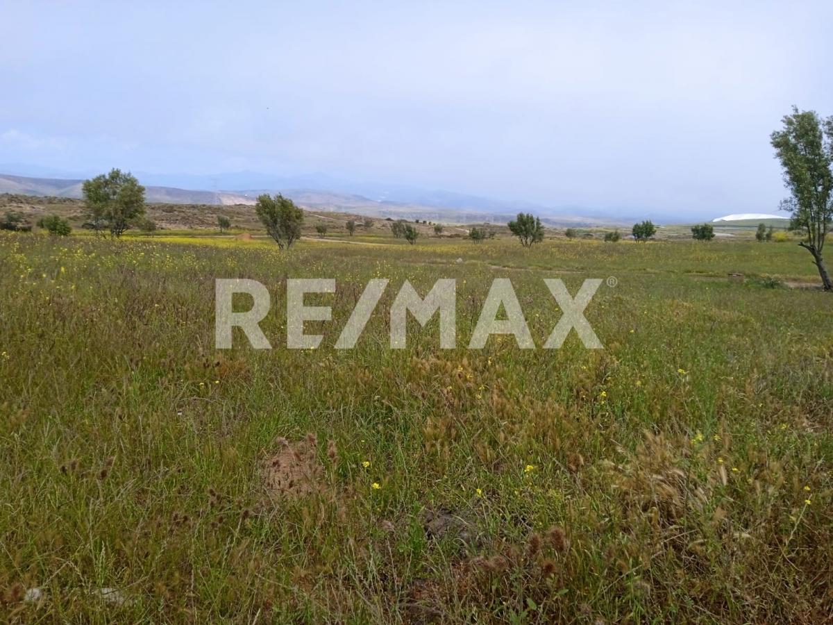 Terreno en Valle de Guadalupe