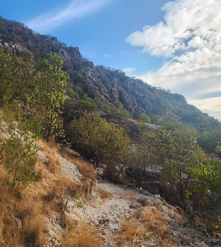 TERRENO EN VENTA