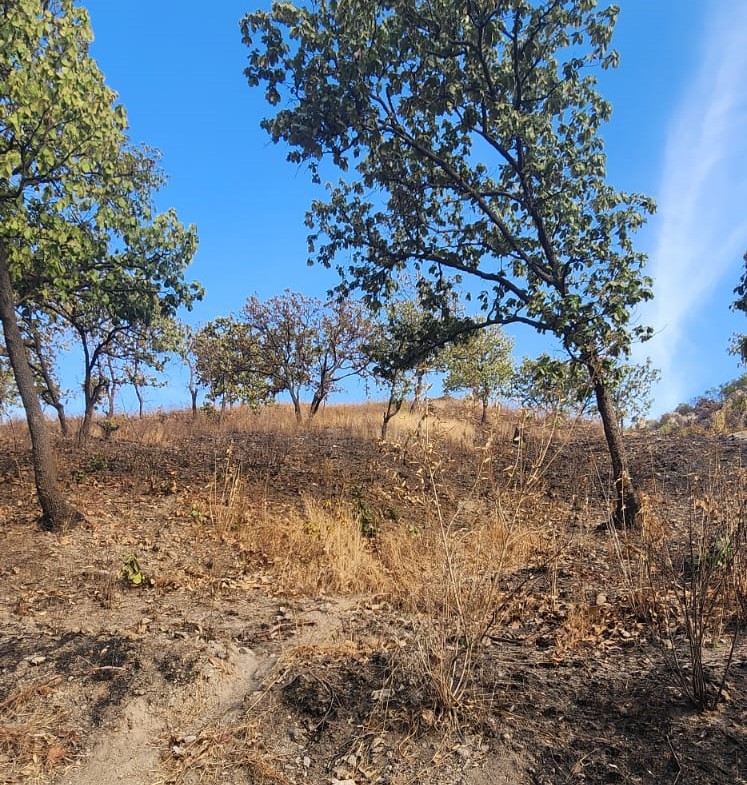 TERRENO EN VENTA en SAN ESTEBAN, Zapopan - foto 4 de 4