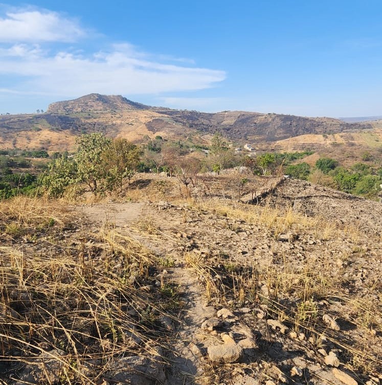 TERRENO EN VENTA en SAN ESTEBAN, Zapopan - foto 3 de 4