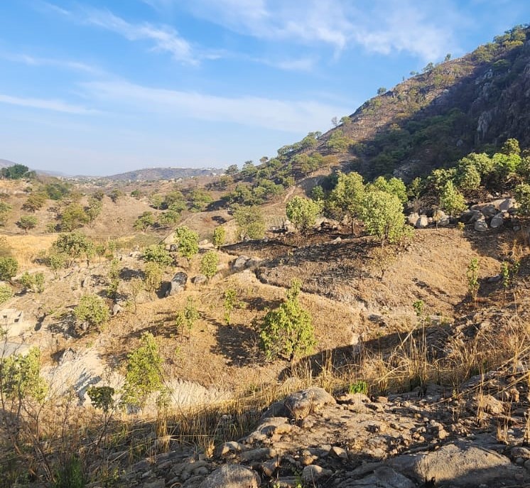 TERRENO EN VENTA en SAN ESTEBAN, Zapopan - foto 2 de 4