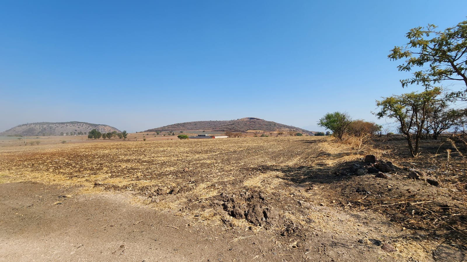 TERRENO EN VENTA en BUENAVISTA, Tlajomulco de Zúñiga - foto 4 de 8