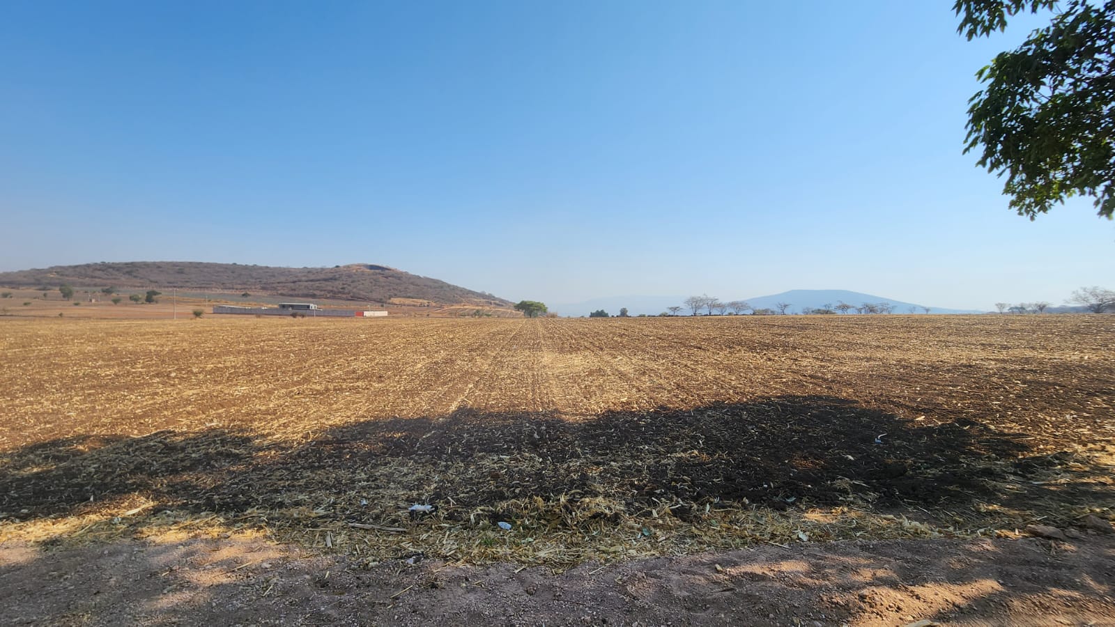 TERRENO EN VENTA en BUENAVISTA, Tlajomulco de Zúñiga - foto 2 de 8