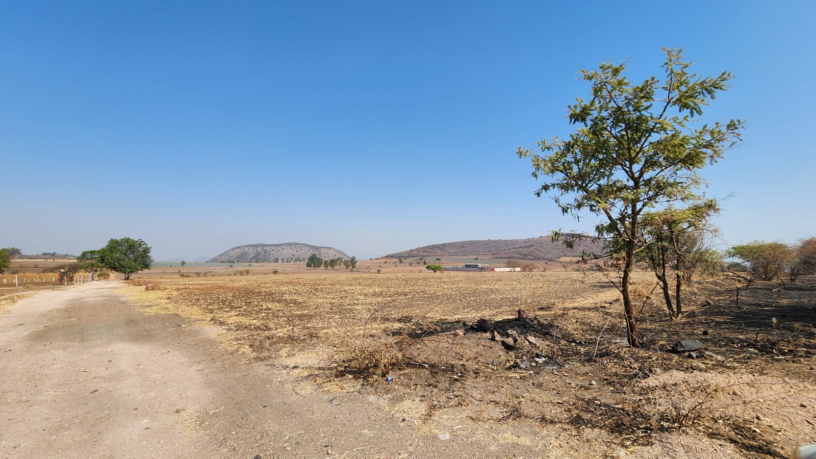TERRENO EN VENTA en BUENAVISTA, Tlajomulco de Zúñiga - foto 3 de 8