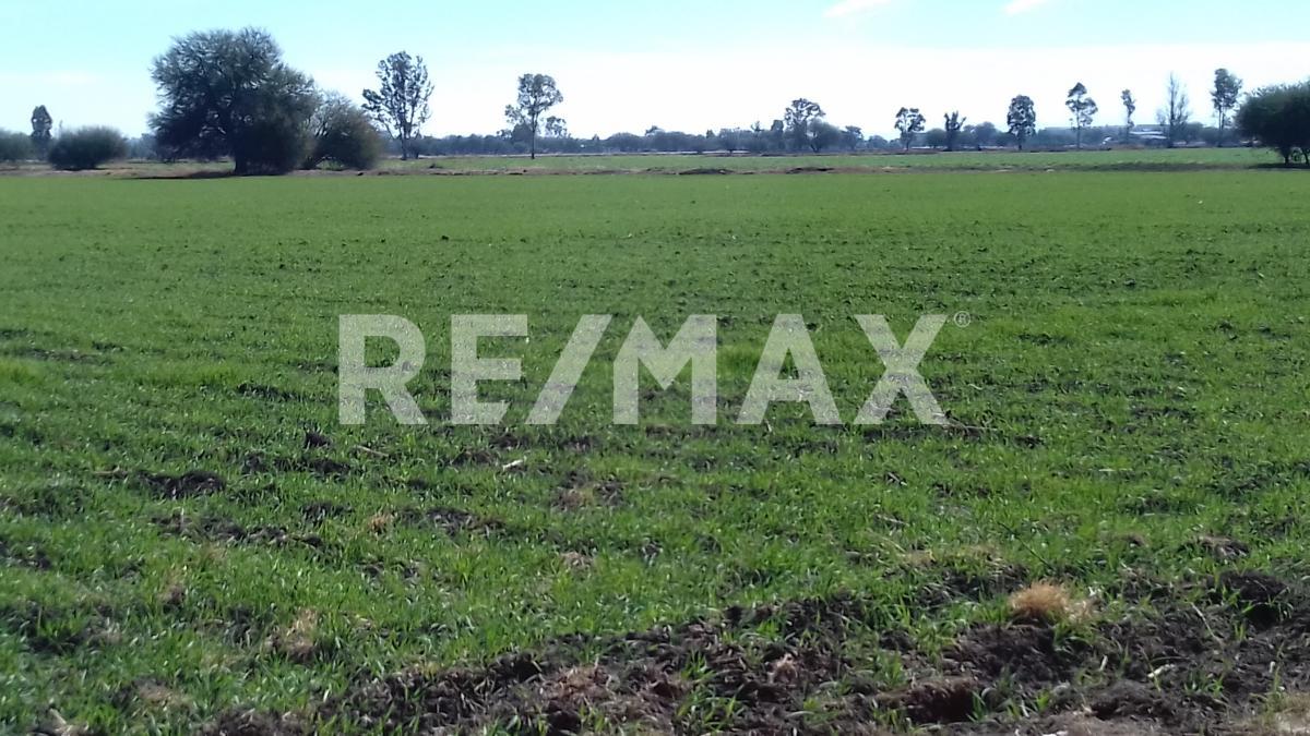 TERRENO EN VENTA EN EL MARQUÉS - (34)