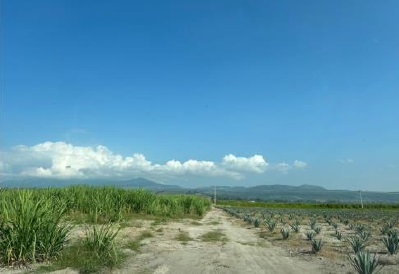 TERRENO EN VENTA TALA, JAL en Hacienda El Refugio, Tala - foto 3 de 6