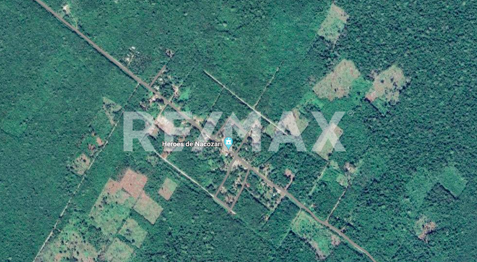 55 hectares for sale 13 km from Playa del Carmen - (34)