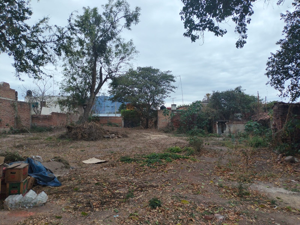 TERRENO RUSTICO EN AHUALULCO en Ahualulco de Mercado Centro, Ahualulco de Mercado - foto 8 de 12