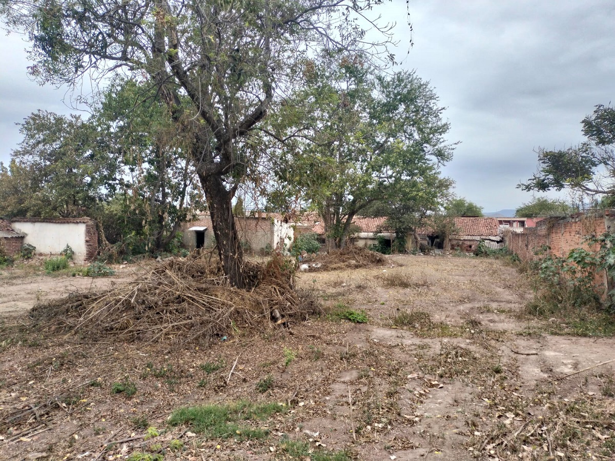 TERRENO RUSTICO EN AHUALULCO en Ahualulco de Mercado Centro, Ahualulco de Mercado - foto 10 de 12