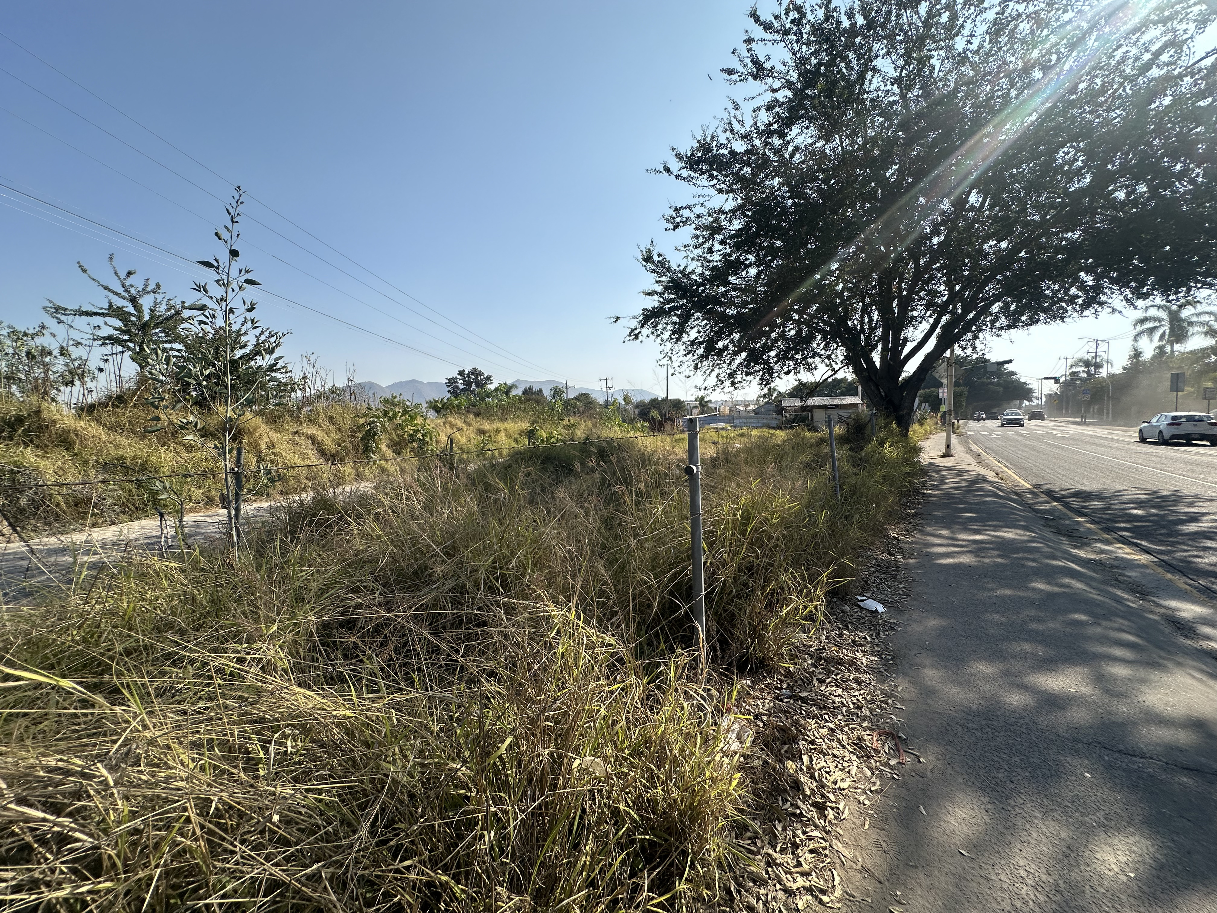 Terreno en renta Av. Camino Real a Colima en SAN AGUSTIN, Tlajomulco de Zúñiga - foto 5 de 9