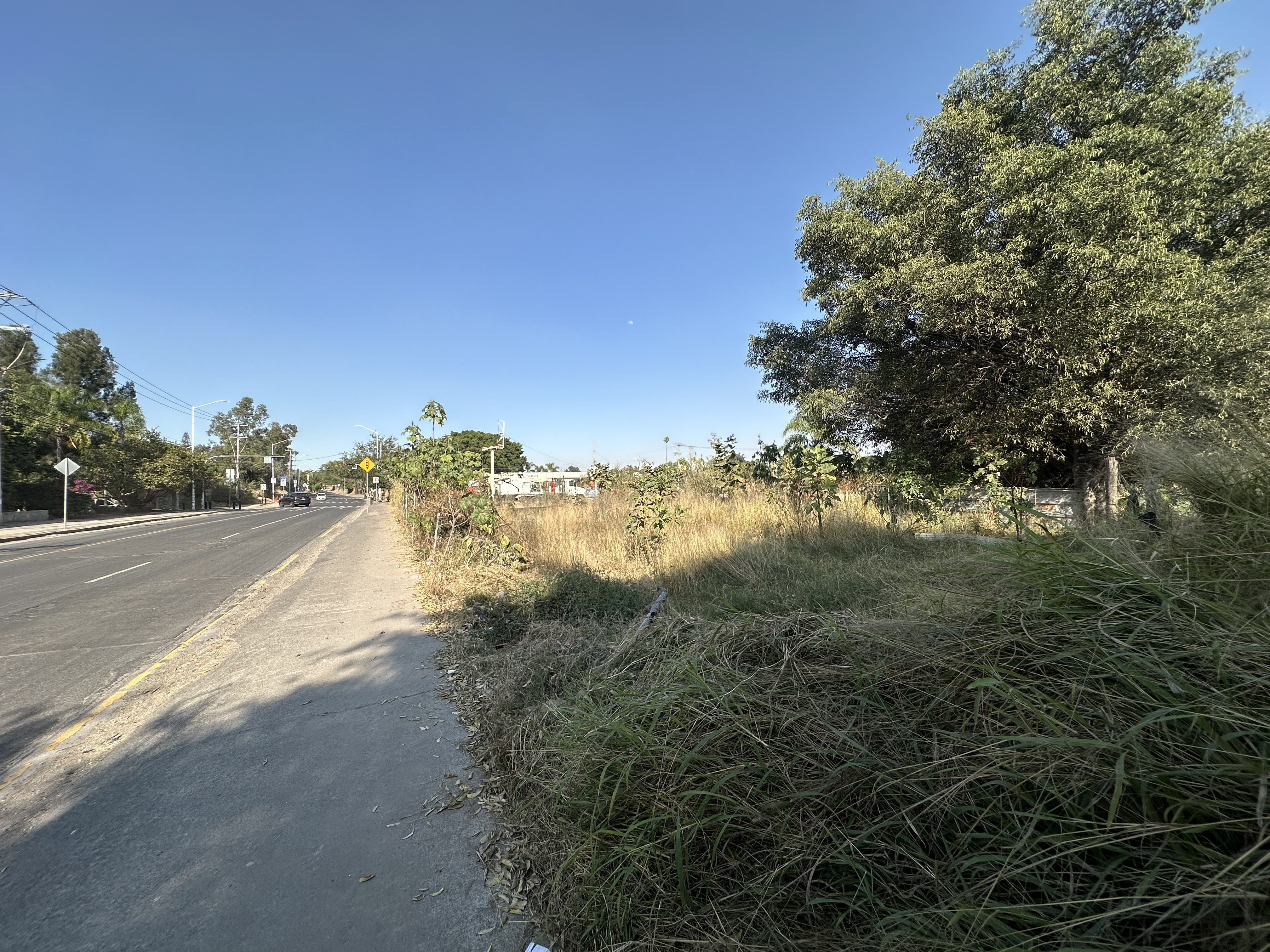 Terreno en renta Av. Camino Real a Colima en SAN AGUSTIN, Tlajomulco de Zúñiga - foto 7 de 9