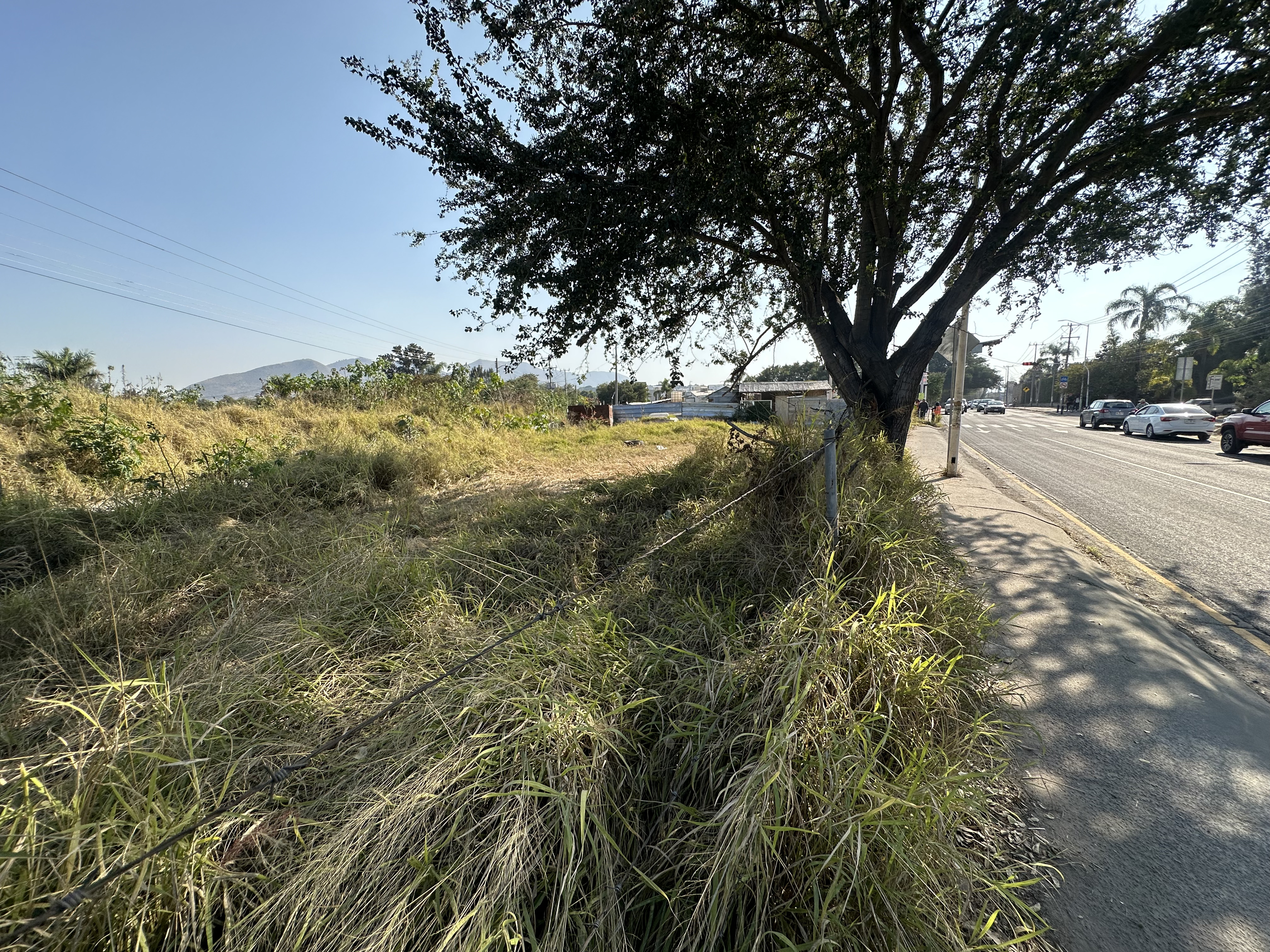 Terreno en renta Av. Camino Real a Colima en SAN AGUSTIN, Tlajomulco de Zúñiga - foto 4 de 9
